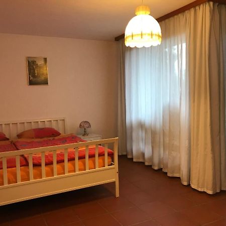 Casa Vignole-Badasci Orselina 外观 照片